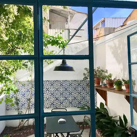 Apartament Flh Graca Vintage With Interior Garden